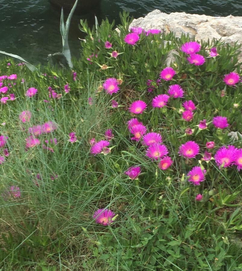 Guesthouse Antonija Veli Lošinj Buitenkant foto